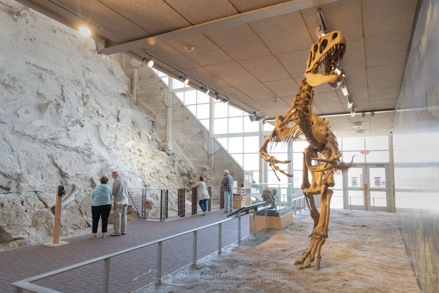 8 Best National Parks with Dinosaurs Fossils