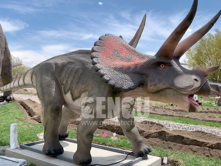 Triceratops