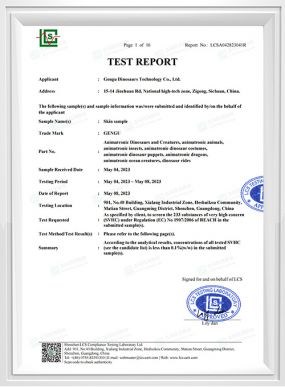 EC Skin Test Report