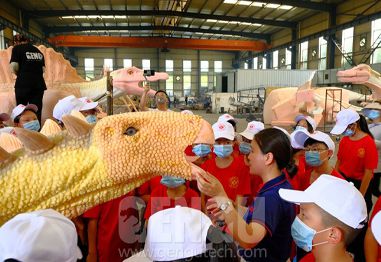 Dinosaur Study Tour in Gengu Dinosaurs