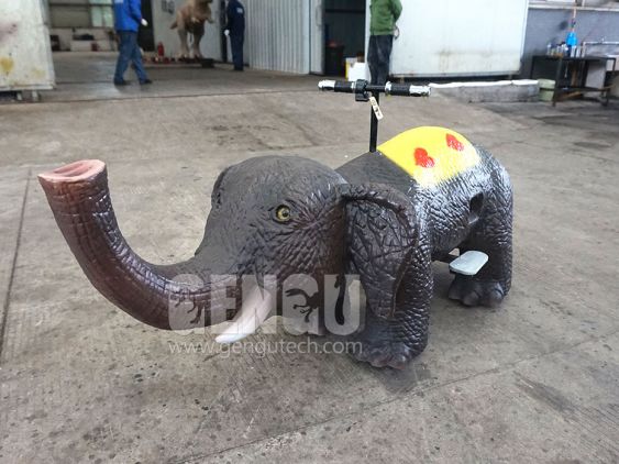 Small Elephant Ride