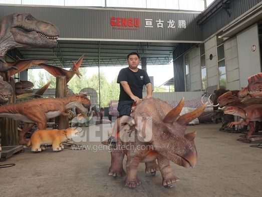 Ride On Dinosaur For Sale
