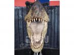Allosaurus Head