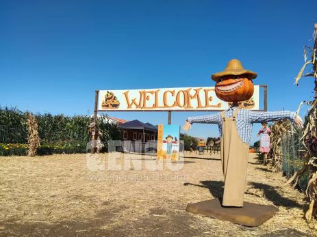 Halloween Pumpkin Scarecrow