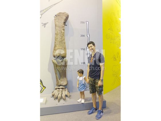 Dinosaur Leg Skeleton