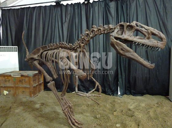Monolophosaurus Fossil