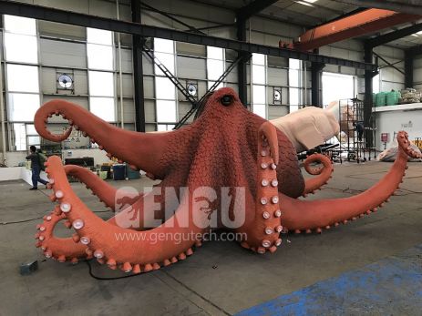 Octopus